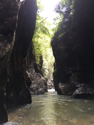  De Stille Ochtend Aan De Negeri Sembilan Rivier!  Een Ontroerende Studie Van Licht En Schaduw